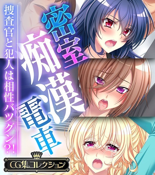 評価｜密室痴●電車 〜捜査官と犯人は相性バツグン？！〜【CG集コレクション】❤単行本-大人のSEXY絵本