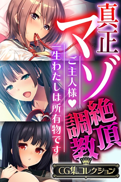 評価｜真正マゾ絶頂調教 〜ご主人様 一生わたしは所有物です〜【CG集コレクション】❤単行本-大人のSEXY絵本