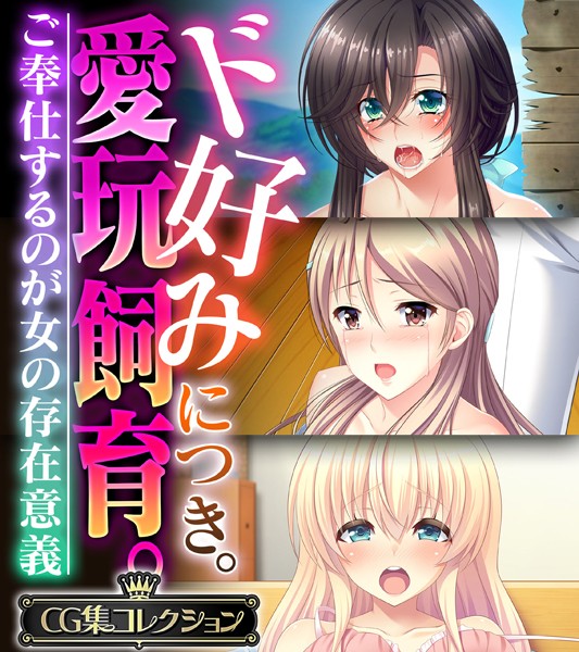 評価｜ド好みにつき。愛玩飼育 。 〜ご奉仕するのが女の存在意義〜【CG集コレクション】❤単行本-大人のSEXY絵本