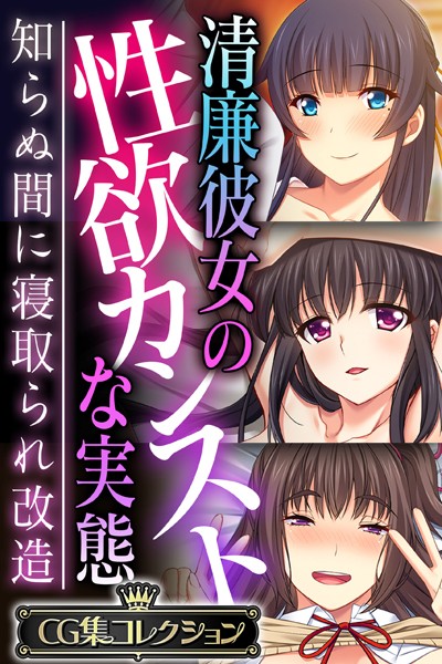 評価｜清廉彼女の性欲カンストな実態 〜知らぬ間に寝取られ改造〜【CG集コレクション】❤単行本-大人のSEXY絵本