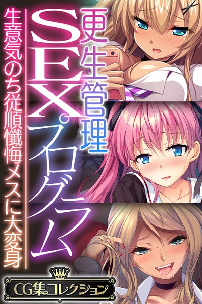 評価｜更生管理SEXプログラム 〜生意気のち従順懺悔メスに大変身〜【CG集コレクション】❤単行本-大人のSEXY絵本