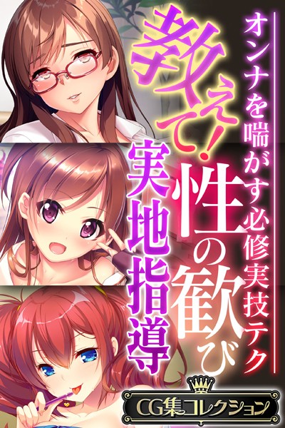 評価｜教えて！性の歓び実地指導 〜オンナを喘がす必修実技テク〜【CG集コレクション】❤単行本-大人のSEXY絵本