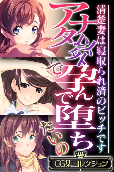 評価｜アナタ以外で孕んで堕ちたいの 〜清楚妻は寝取られ済のビッチです〜【CG集コレクション】❤単行本-大人のSEXY絵本