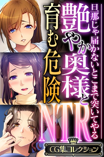 評価｜艶やか奥様と育む危険NTR 〜旦那じゃ届かないとこまで突いてやる〜【CG集コレクション】❤単行本-大人のSEXY絵本