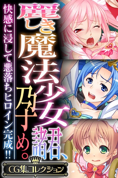 評価｜麗しき魔法少女諸君、孕め。 〜快感に浸して悪落ちヒロイン完成！！〜【CG集コレクション】❤単行本-大人のSEXY絵本