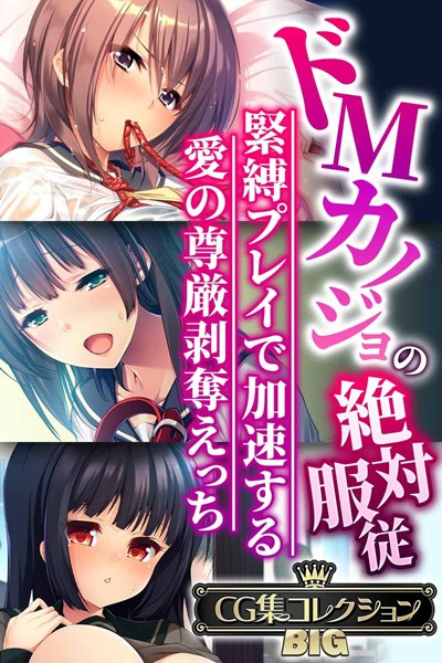 評価｜ドMカノジョの絶対服従 〜緊縛プレイで加速する愛の尊厳剥奪えっち〜【CG集コレクションBIG】❤単行本-大人のSEXY絵本
