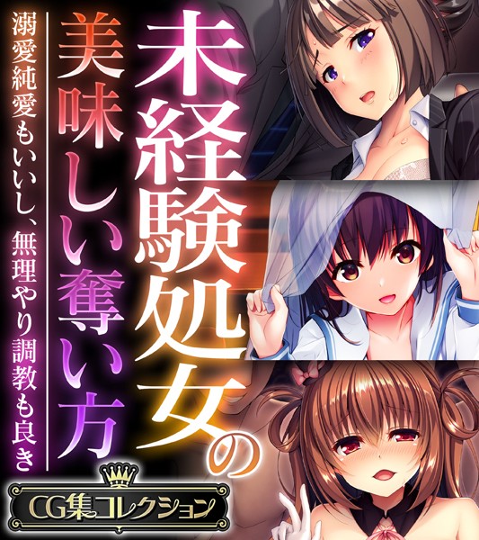 評価｜未経験処女の美味しい奪い方 〜溺愛純愛もいいし、無理やり調教も良き〜【CG集コレクション】❤単行本-大人のSEXY絵本