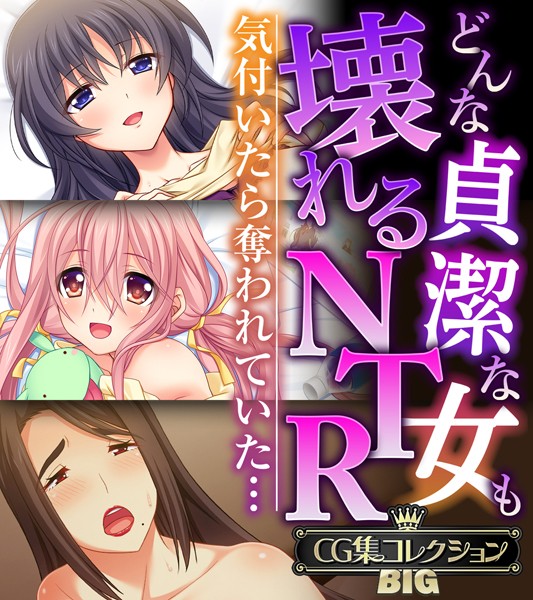 評価｜どんな貞潔な女も壊れるNTR〜気付いたら奪われていた…〜【CG集コレクションBIG】❤単行本-大人のSEXY絵本