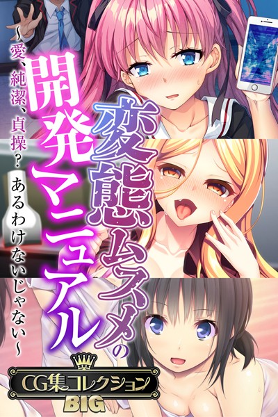 評価｜変態ムスメの開発マニュアル 〜愛、純潔、貞操？あるわけないじゃない〜【CG集コレクションBIG】❤単行本-大人のSEXY絵本