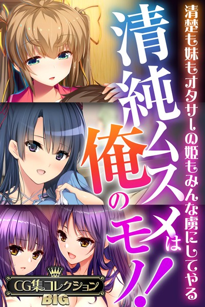 評価｜清純ムスメは俺のモノ！〜清楚も妹もオタサーの姫もみんな虜にしてやる〜【CG集コレクションBIG】❤単行本-大人のSEXY絵本