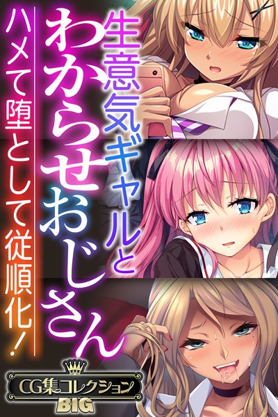 評価｜生意気ギャルとわからせおじさん 〜ハメて堕として従順化！〜【CG集コレクションBIG】❤単行本-大人のSEXY絵本