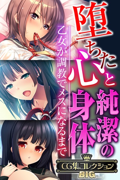 評価｜堕ちた心と純潔の身体〜乙女が調教でメスになるまで〜【CG集コレクションBIG】❤単行本-大人のSEXY絵本
