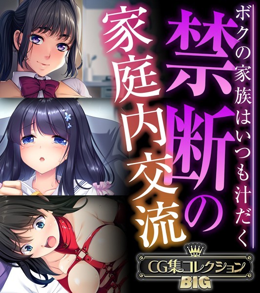 評価｜禁断の家庭内交流 〜ボクの家族はいつも汁だく〜【CG集コレクションBIG】❤単行本-大人のSEXY絵本