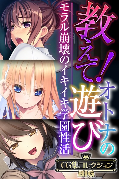 評価｜教えて！オトナの遊び 〜モラル崩壊のイキイキ学園性活〜【CG集コレクションBIG】❤単行本-大人のSEXY絵本