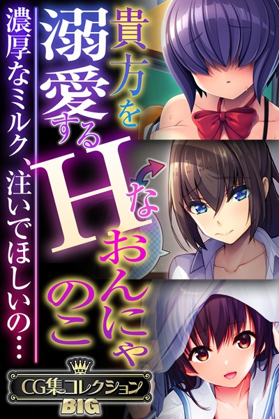 評価｜貴方を溺愛するHなおんにゃのこ 〜濃厚なミルク、注いでほしいの…〜【CG集コレクションBIG】❤単行本-大人のSEXY絵本