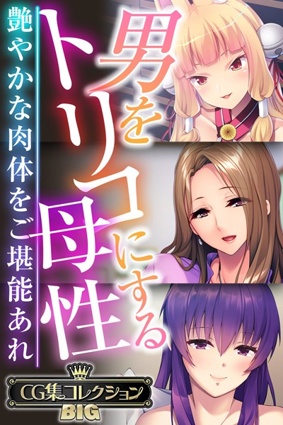 評価｜男をトリコにする母性 〜艶やかな肉体をご堪能あれ〜【CG集コレクションBIG】❤単行本-大人のSEXY絵本