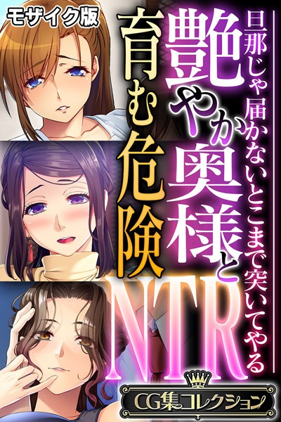 評価｜艶やか奥様と育む危険NTR 〜旦那じゃ届かないとこまで突いてやる〜【CG集コレクション】 モザイク版❤フルカラー-大人のSEXY絵本