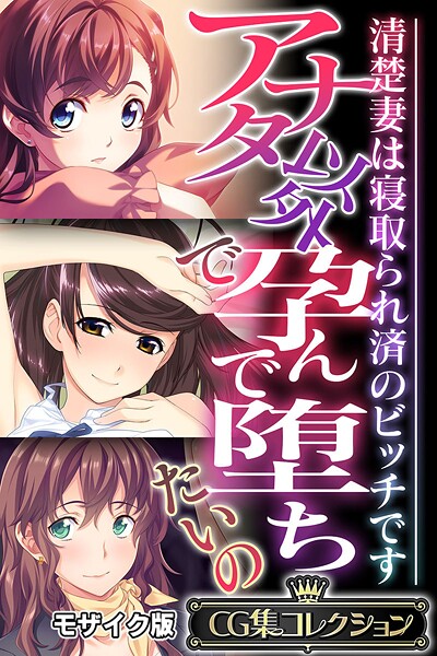 評価｜アナタ以外で孕んで堕ちたいの 〜清楚妻は寝取られ済のビッチです〜【CG集コレクション】 モザイク版❤フルカラー-大人のSEXY絵本