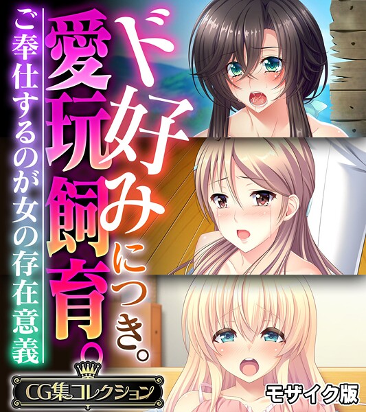 評価｜ド好みにつき。愛玩飼育。 〜ご奉仕するのが女の存在意義〜【CG集コレクション】 モザイク版❤フルカラー-大人のSEXY絵本