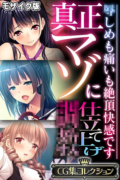 評価｜真正マゾに仕立て上げ●● 〜●しめも痛いも絶頂快感です〜【CG集コレクション】 モザイク版❤フルカラー-大人のSEXY絵本