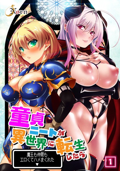 評価1.00｜童貞ニートが異世界に転生したら魔王も仲間もエロくてハメまくれた 【合本版】❤単行本-Norn
