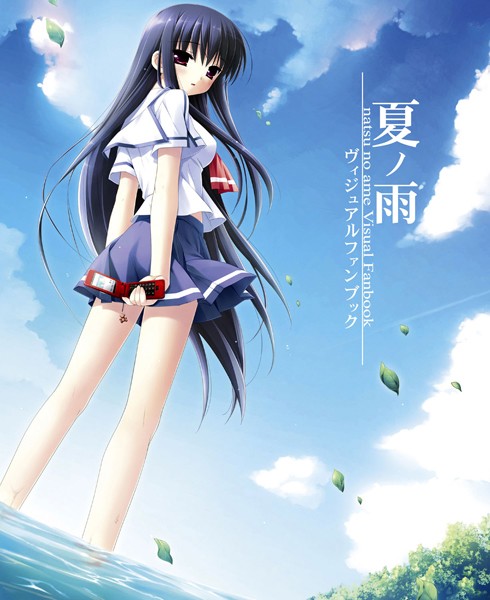 評価｜夏ノ雨 ビジュアルファンブック❤単行本-兼清みわ