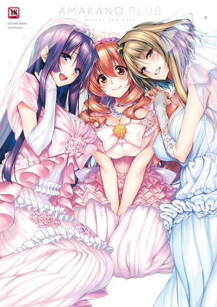 評価5.00｜アマカノ＋ ビジュアルファンブック❤単行本-ピロ水