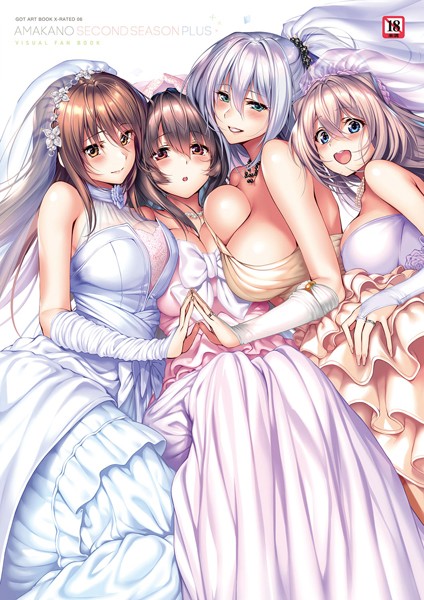 評価5.00｜アマカノ〜Second Season〜＋（プラス）ビジュアルファンブック【FANZA限定特典付き】❤単行本-ピロ水