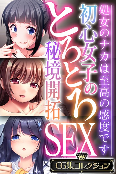 評価｜初心女子のとろとろ秘境開拓SEX 〜処女のナカは至高の感度です〜【CG集コレクション】❤単行本-大人のSEXY絵本
