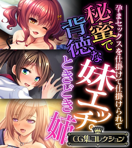 評価｜秘蜜で背徳な妹エッチ。ときどき姉 〜孕まセックスを仕掛けて仕掛けられて〜【CG集コレクション】❤単行本-大人のSEXY絵本