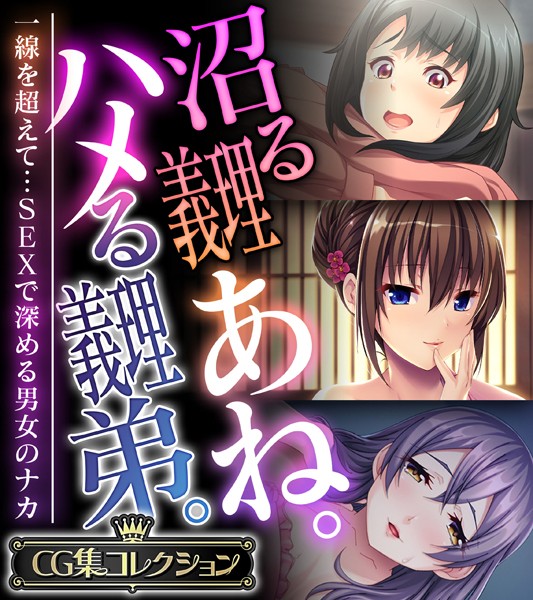 評価｜沼る義理あね。ハメる義理弟。 〜一線を超えて…SEXで深める男女のナカ〜【CG集コレクション】❤単行本-大人のSEXY絵本