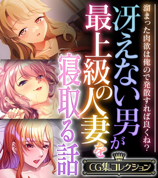 評価｜冴えない男が最上級の人妻を寝取る話 〜溜まった肉欲は俺ので発散すれば良くね？〜【CG集コレクション】❤単行本-大人のSEXY絵本